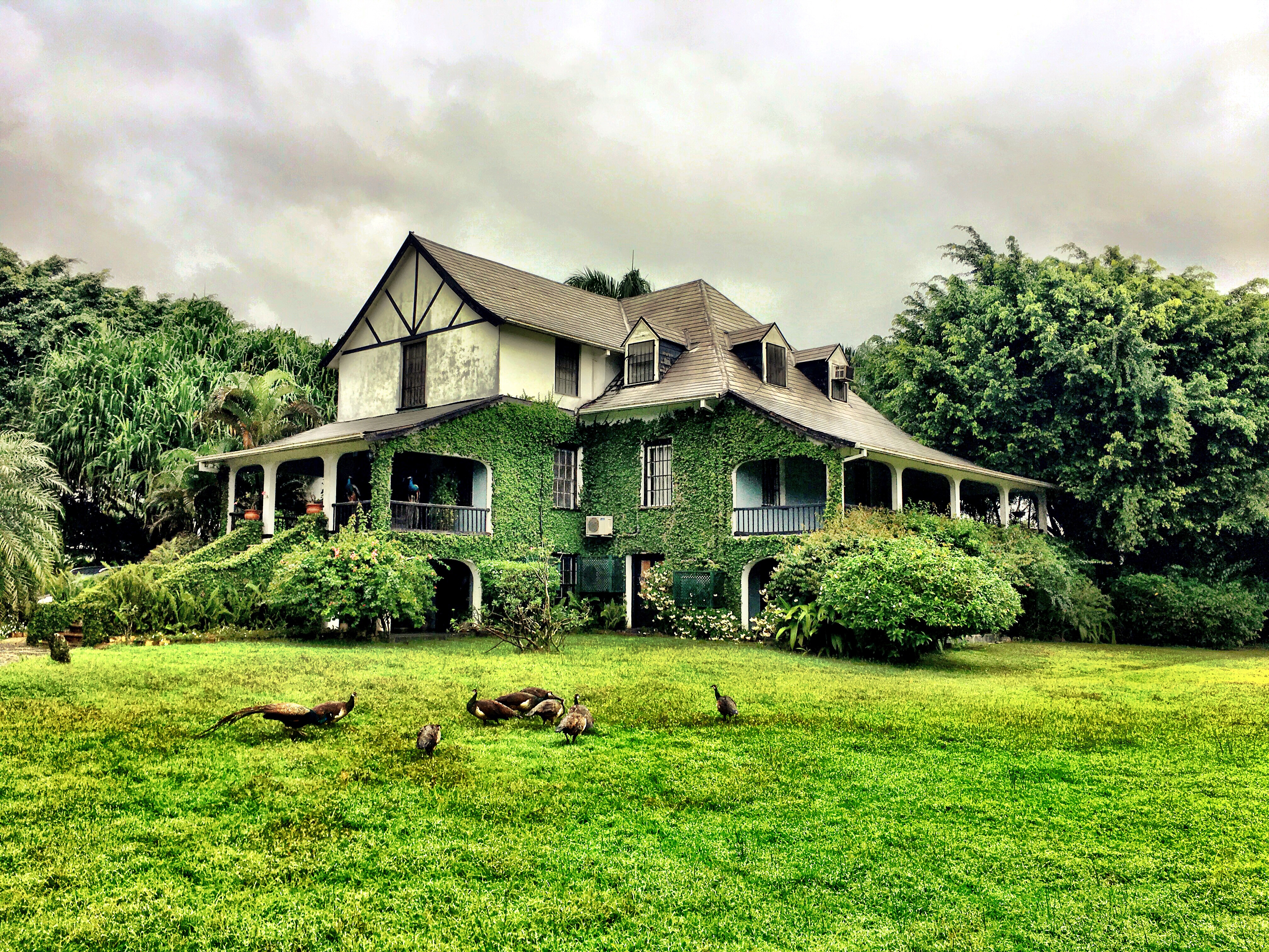 Destilérka Hampden Estate